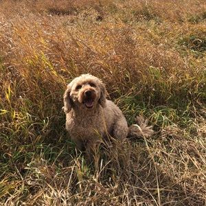 Meet your Posher, Suzanne